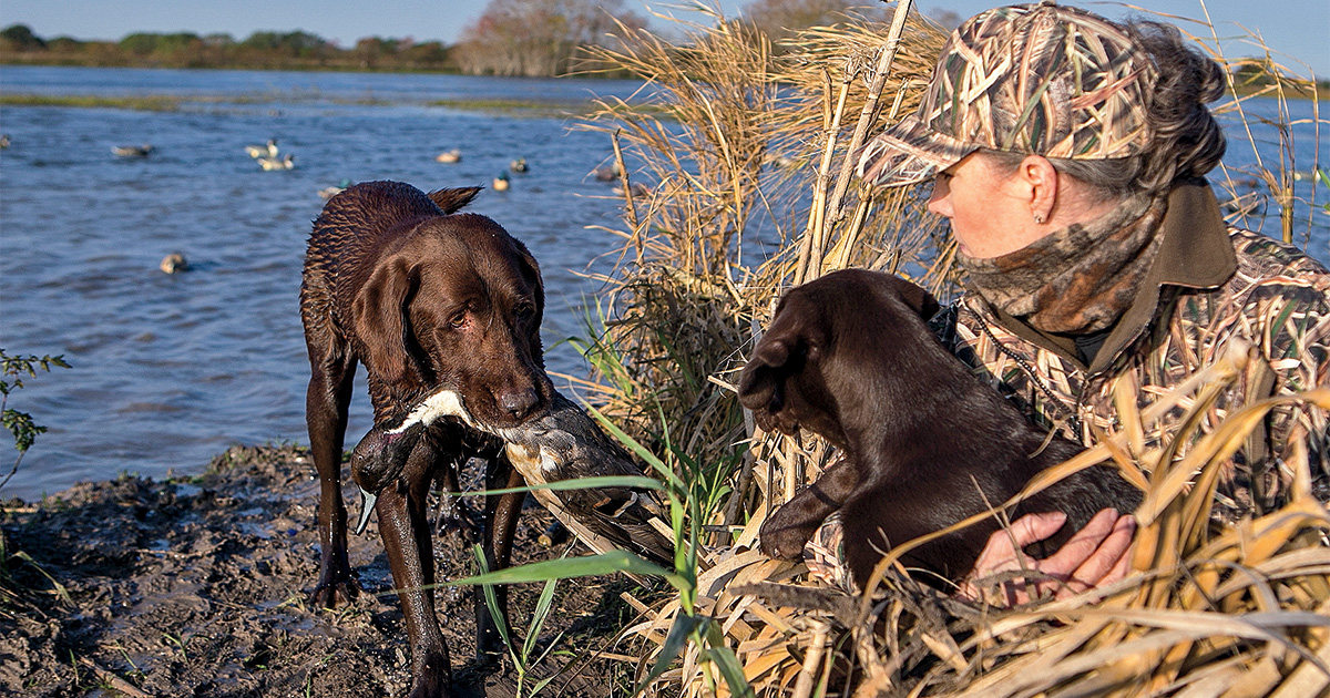 Gun Dog Gear Ducks Unlimited